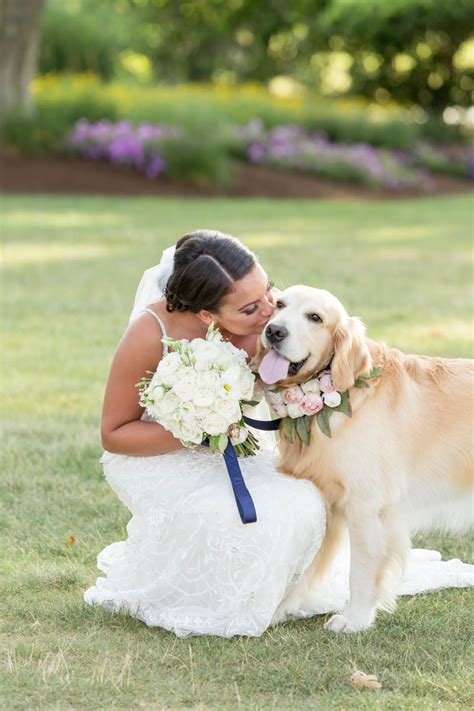Dogs At Weddings Dos Donts And Adorable Photos 🐶