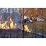 Leaf Burning Raises Stink In Mendon Where Some Say Its A Health And 