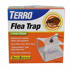Flea Trap Lowes