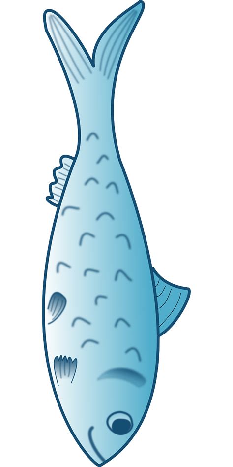 Library Of Vertical Fish Png Png Files Clipart Art 2019
