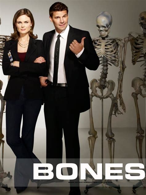 Bones Elenco Da 8ª Temporada Adorocinema