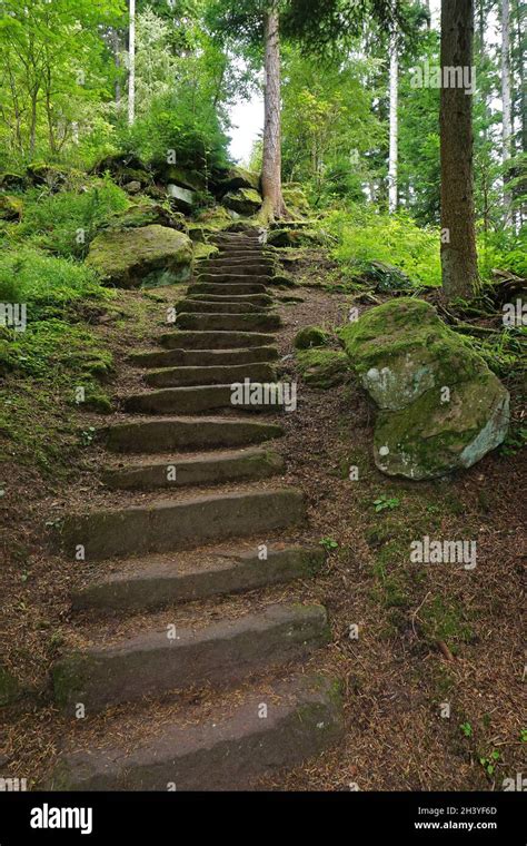 Hiking In The Black Forest Germany Stock Photo Alamy