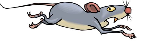 Rat Cartoon Clipart Free Download On Clipartmag