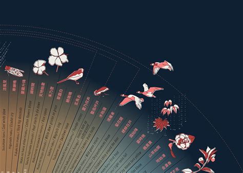 Illustrating The Japanese Seasonal Calendar On Behance