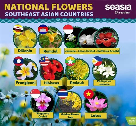 National Flower Of Asean Countries Best Flower Site