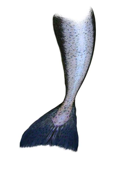 Mermaid Tail PNG Images Transparent Background PNG Play