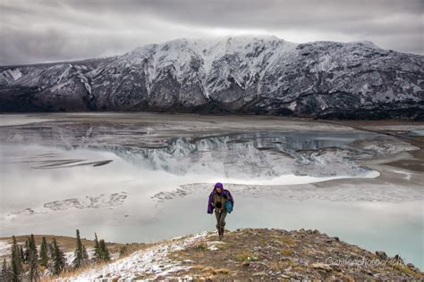Kluane Gallery | In Search of Sheep | Time & Space Nature Adventures