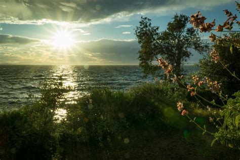 Sun Ray Hitting Body Of Water Green Grass Trees White Clouds During