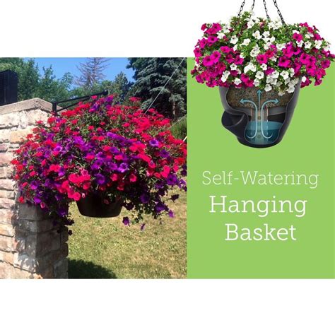 Our Pro Series Self Watering Hanging Basket Will Deliver Exceptional