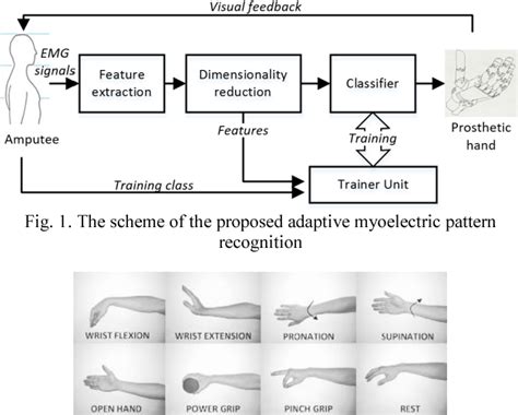 Figure 1 From Adaptive Myoelectric Pattern Recognition For Arm Movement