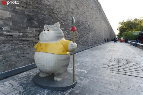 北京故宫神武门现巨型“御猫”萌翻众人