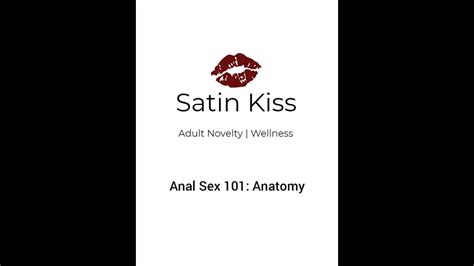 Anal Sex 101 Anatomy YouTube