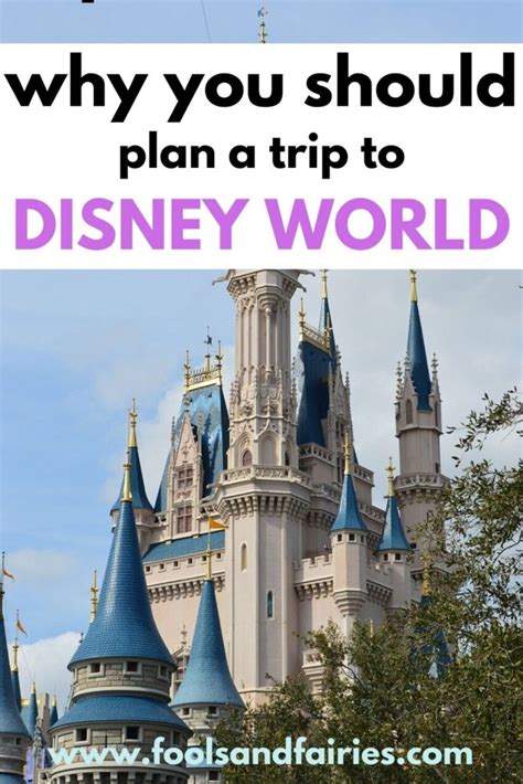 Why You Should Visit Walt Disney World Fools And Fairies
