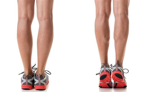 The lower leg anatomy is composed of five distinct parts: 6 Ways To Tone And Sculpt Your Calves | Calf exercises, Isometric exercises, Calves