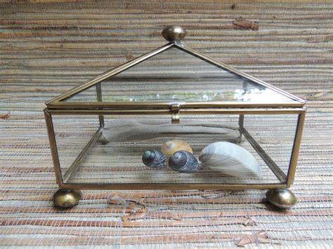 Vintage Glass And Brass Rectangular Display Box Curiosity Case