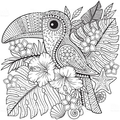 Coloring Book For Adults Toucan Among Tropical Leaves And Flowers