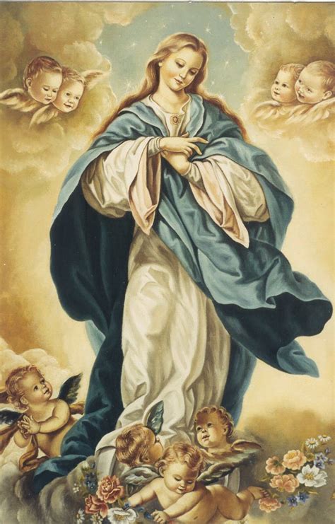 Solemnidad De La Inmaculada Concepción De María Canossianas