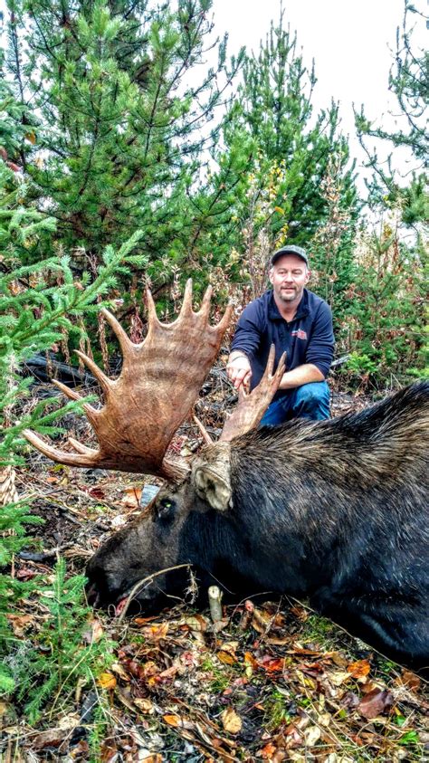 Moose Hunting In Bc Book A Bc Moose Hunt Bc Moose Hunting