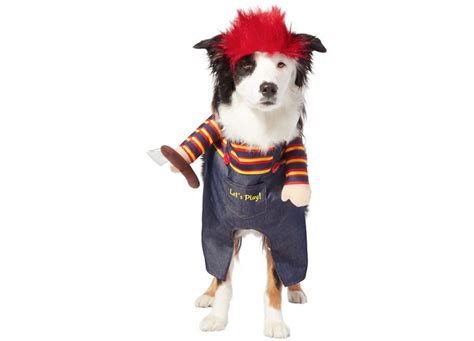 40 Funny Dog Halloween Costumes For The Silliest Pup You Know
