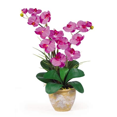 Nearly Natural Double Stem Phalaenopsis Silk Orchid Flower Arrangement