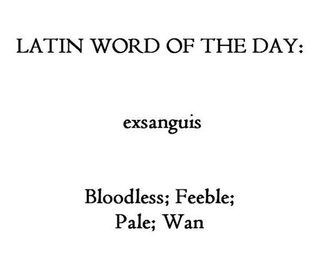 Pin By Redflagenjoyer On Latin Latin Words Latin Quotes Writing Words