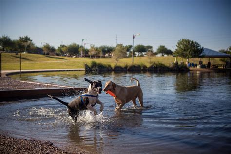 Best Dog Park Winners 2016 Usa Today 10best