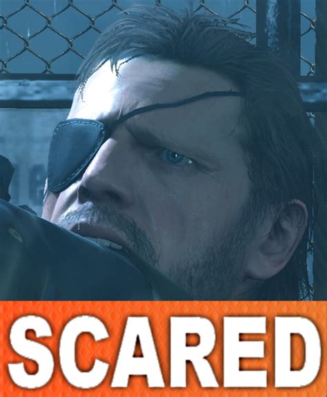 Scared Snake Metal Gear Solid V Know Your Meme