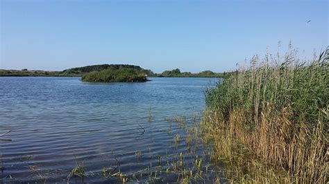 Dune Area Dunes Dune Area Lake Lake In The Dunes Sunny Water