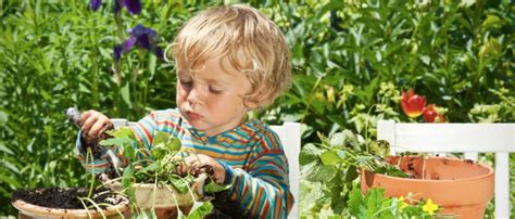 Tipos De Plantas Para Ninos