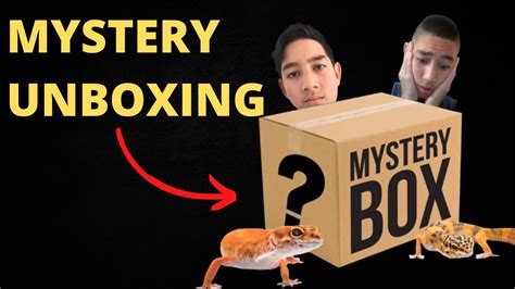 Mystery Reptile Unboxing New Breeding Project Youtube