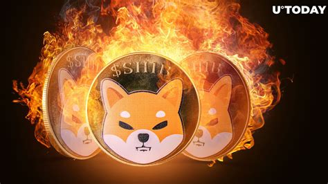 Shiba Inu Shib Burn Rate Surges Once Again Could It Move Price