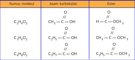 Isomer Asam Alkanoat Dan Alkil Alkanoat Materi Kimia