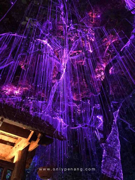 Called the penang avatar secret garden (阿凡达神秘花园), this new hidden gem will surely lure visitors to check out its futuristic garden as well as the collection of magical giant trees. Avatar Secret Garden Taman Cahaya di Pulau Pinang - Tempat ...