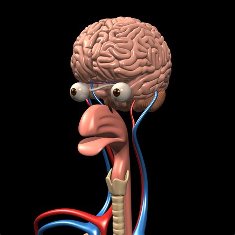 Human Anatomy And Brain Motioncow