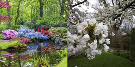 Definition from wiktionary, the free dictionary. Mooie openbare tuinen in Nederland - Flow Magazine NL