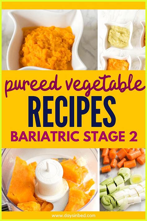 Bariatric Stage 2 Pureed Food Recipes 4 Veg Pureed Food Recipes