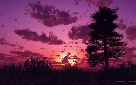 free download purple sunset wallpaper desktop nature pics wallpaper gallery [1440x900] for your