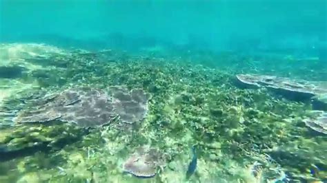Provided by verified guests of. Snorkeling at Redang Island (Gopro) - YouTube