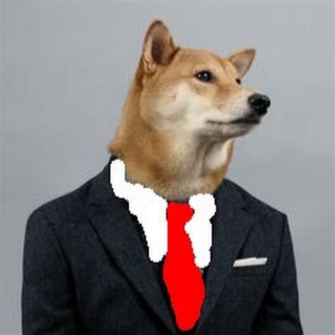 The Cool Doge Youtube