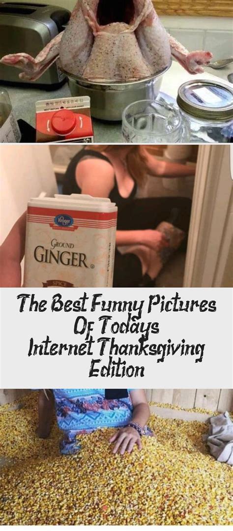 The Best Funny Pictures Of Todays Internet Thanksgiving