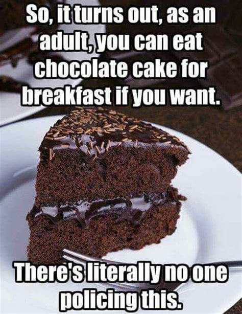 Chocolate Cake For Breakfast Meme Breakfast Cake Funny Cake Food