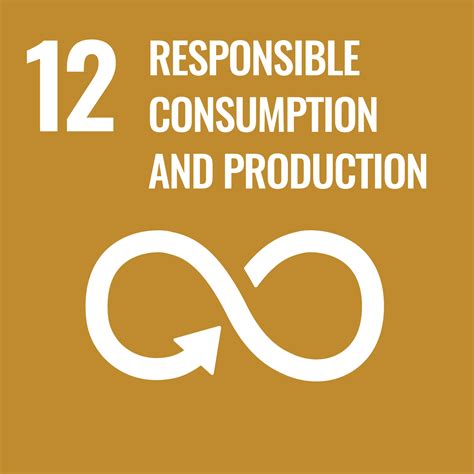 This page reflects the thoughts of a number of changemakers who. SDG Icons for website Goal 12 Responsible Consumption and ...