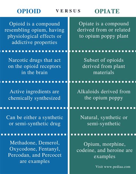 Difference Between Opioid And Opiate Definition Facts Mechanism Of