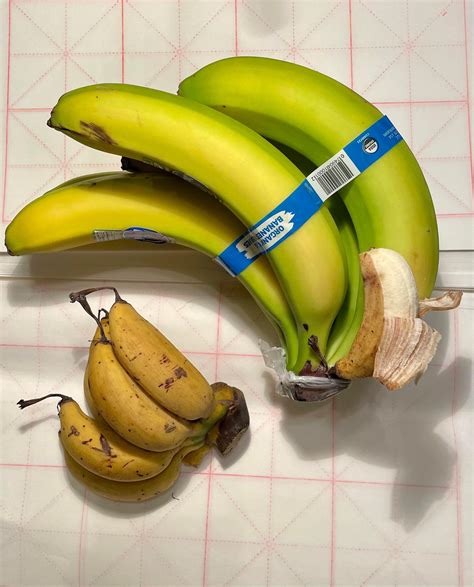 Bananas Bananas For Scale Rbananasforscale