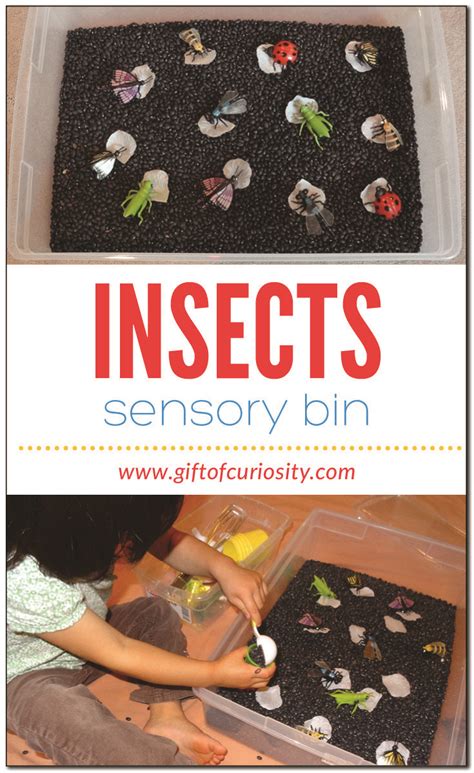 Insect sensory bin for endless hours of insect-themed fine motor