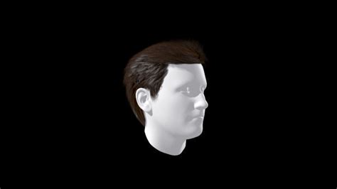 Get 752 hair cg textures & 3d models on 3docean. 3D model Male Hair Wig formal style VR / AR / low-poly MAX ...