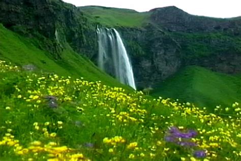 Waterfall And Flower Field Screensaver