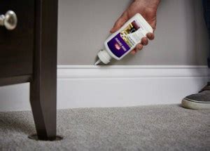Cartoon earth png is about is about cockroach, insect, safe earth pest control, rockwall, pest control. 5 Best Bed Bug Powders in 2020: Effective & Safe Products