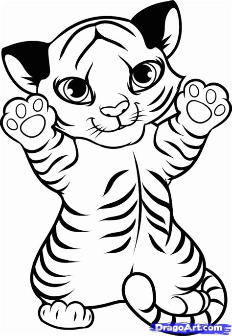Draw A Tiger Cub Tiger Cub Step By Step Drawing Sheets Added