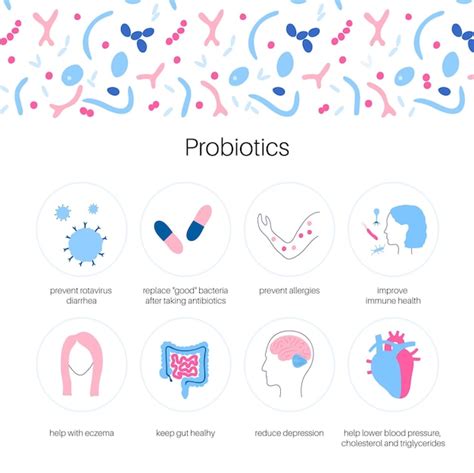 Premium Vector Probiotics Most Common Pathogenic And Beneficial